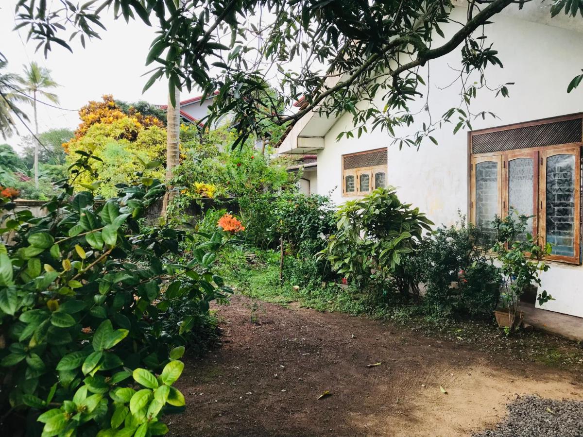 Luna House - B&B