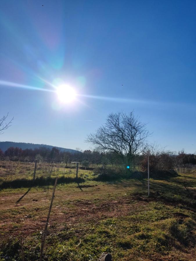 Bijela golubica glamping Hercegovina - Ferienwohnung Čapljina