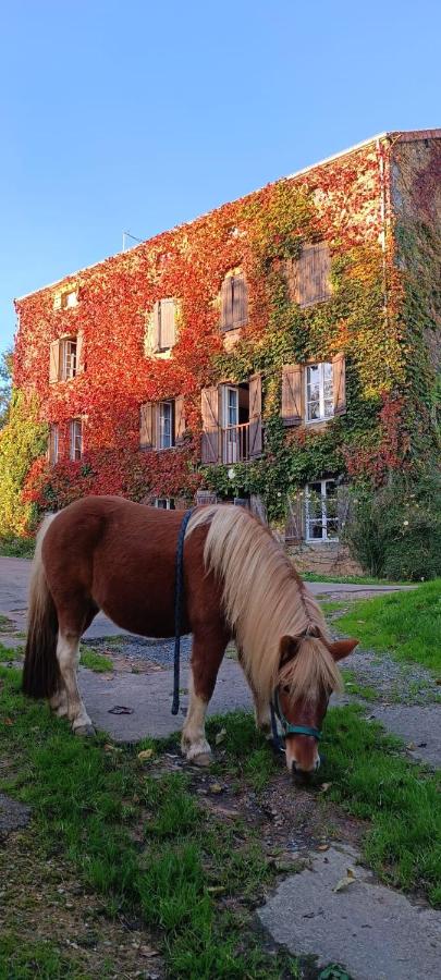 Le moulin de vaux - B&B