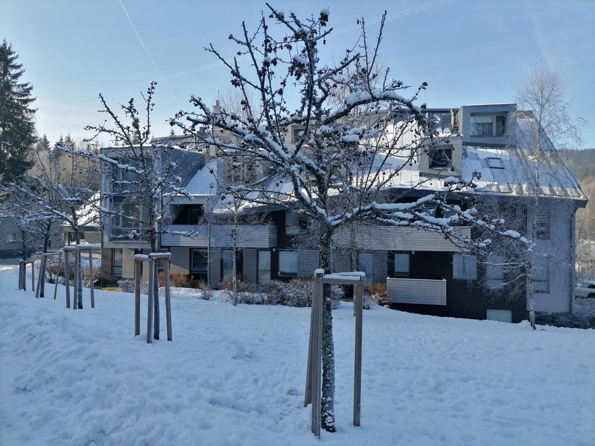 Apartman Sofie Harrachov - B&B Harrachov