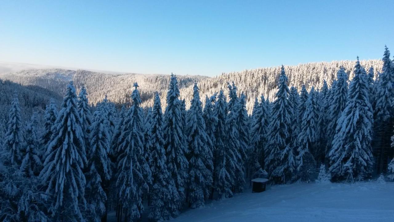 Cihlářská bouda, apartmán 307 - B&B Černý Důl