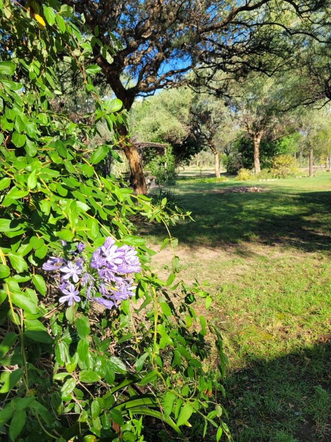 Huis met 1 Slaapkamer
