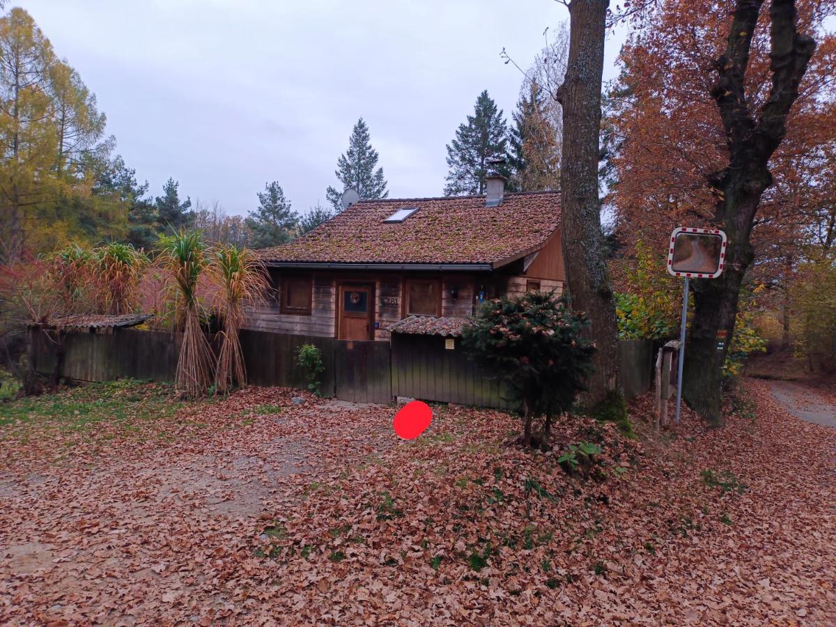 Doudleby u Českých Budějovic - B&B