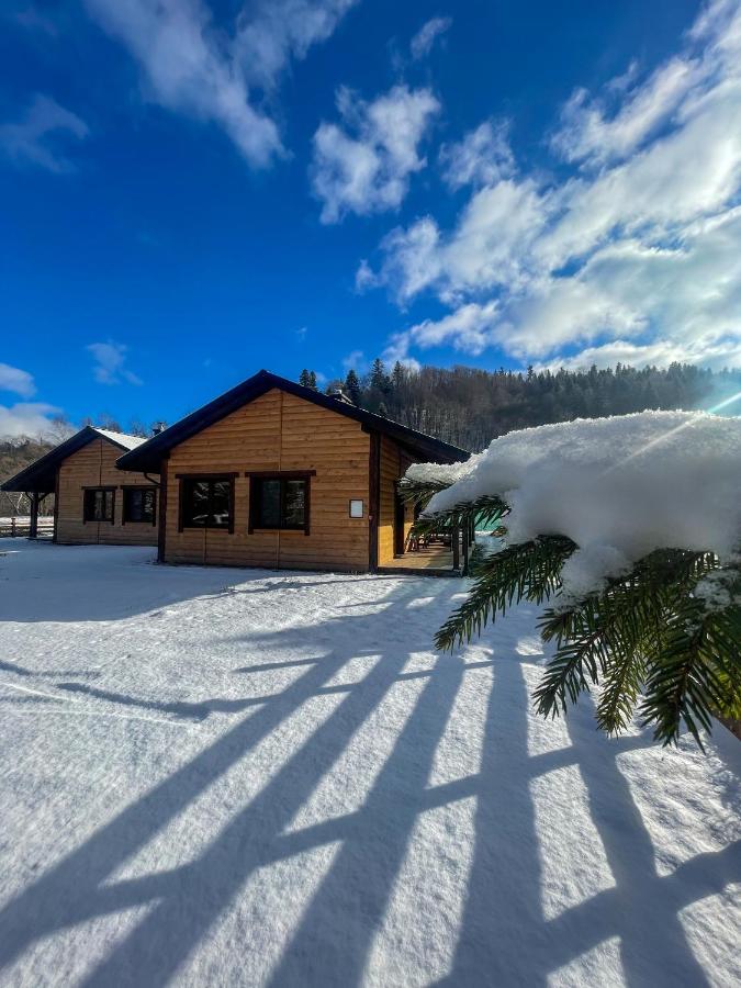 Bieszczadzki Luz - B&B Dwernik