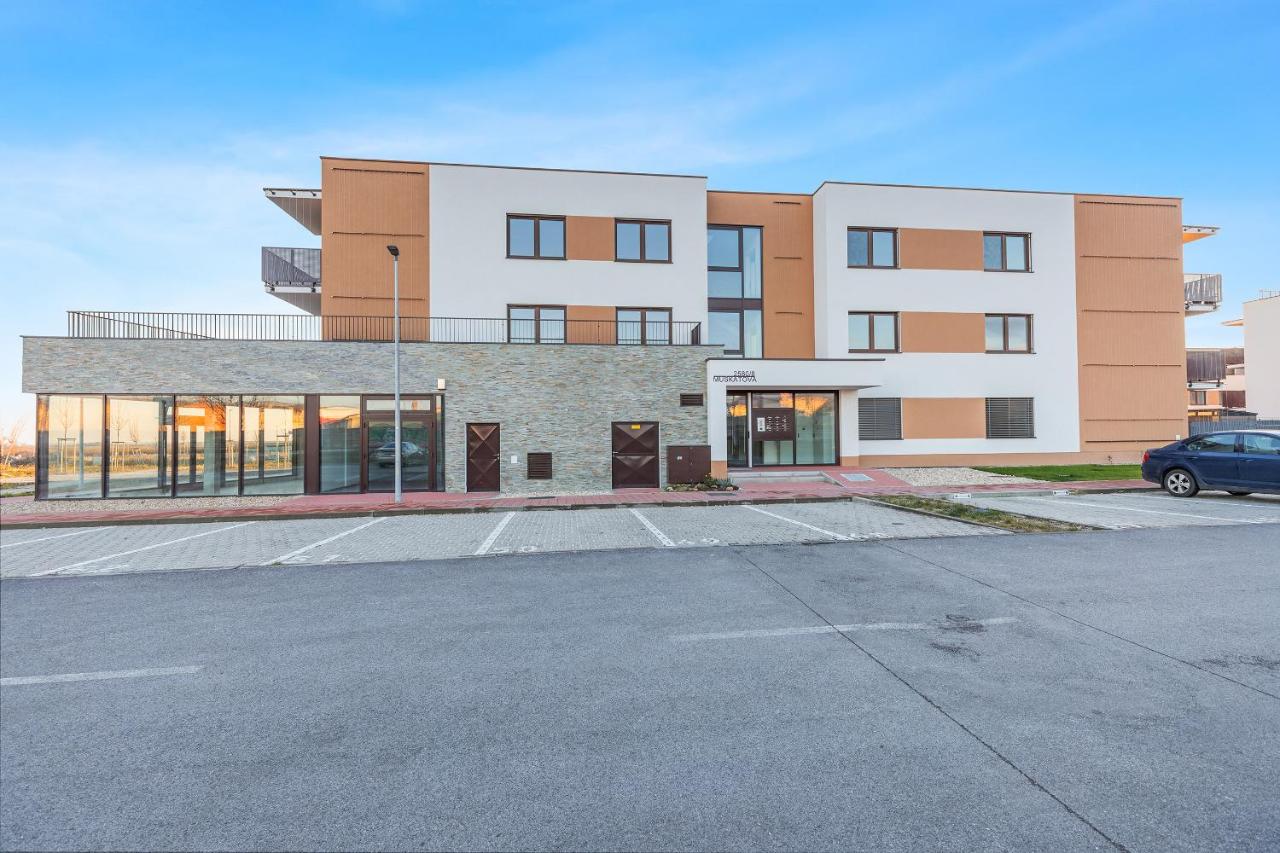 Cozy Apt w AC, Garden & Parking - B&B