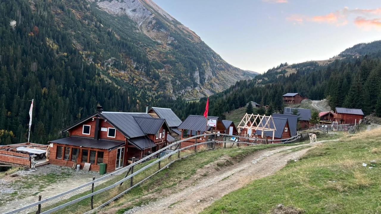 Guesthoues Roshkodoli - B&B
