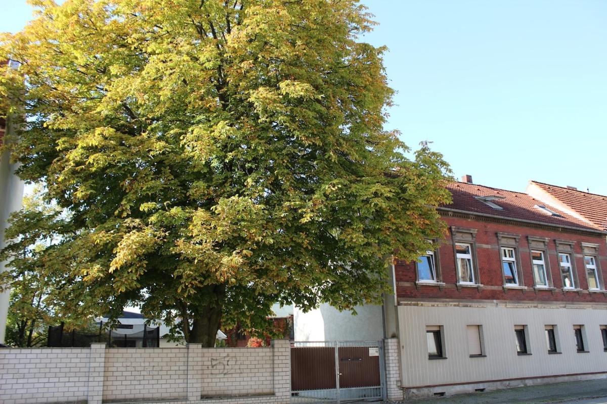 Große komfortable Ferienwohnung in Dessau-Roßlau - B&B