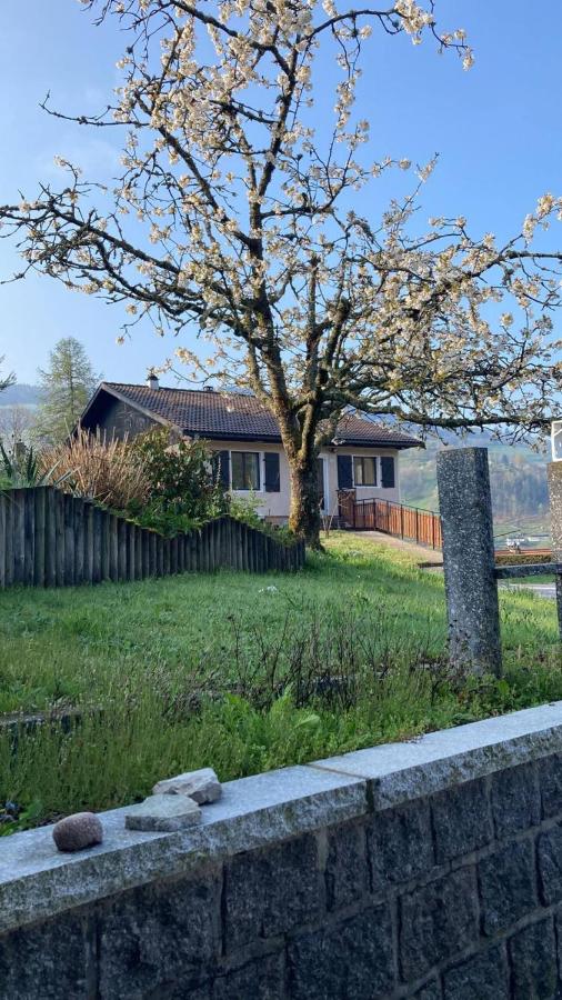 Gîte Le Pingu - spacieux, calme, plein sud - cabine sauna - 8 personnes - Chambres d'hôtes La Bresse