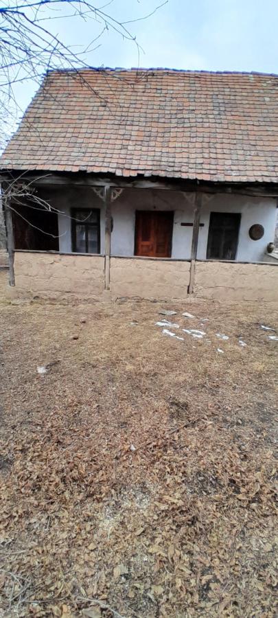 Old house in Dsegh - Chambres d’hôtes Dsegh