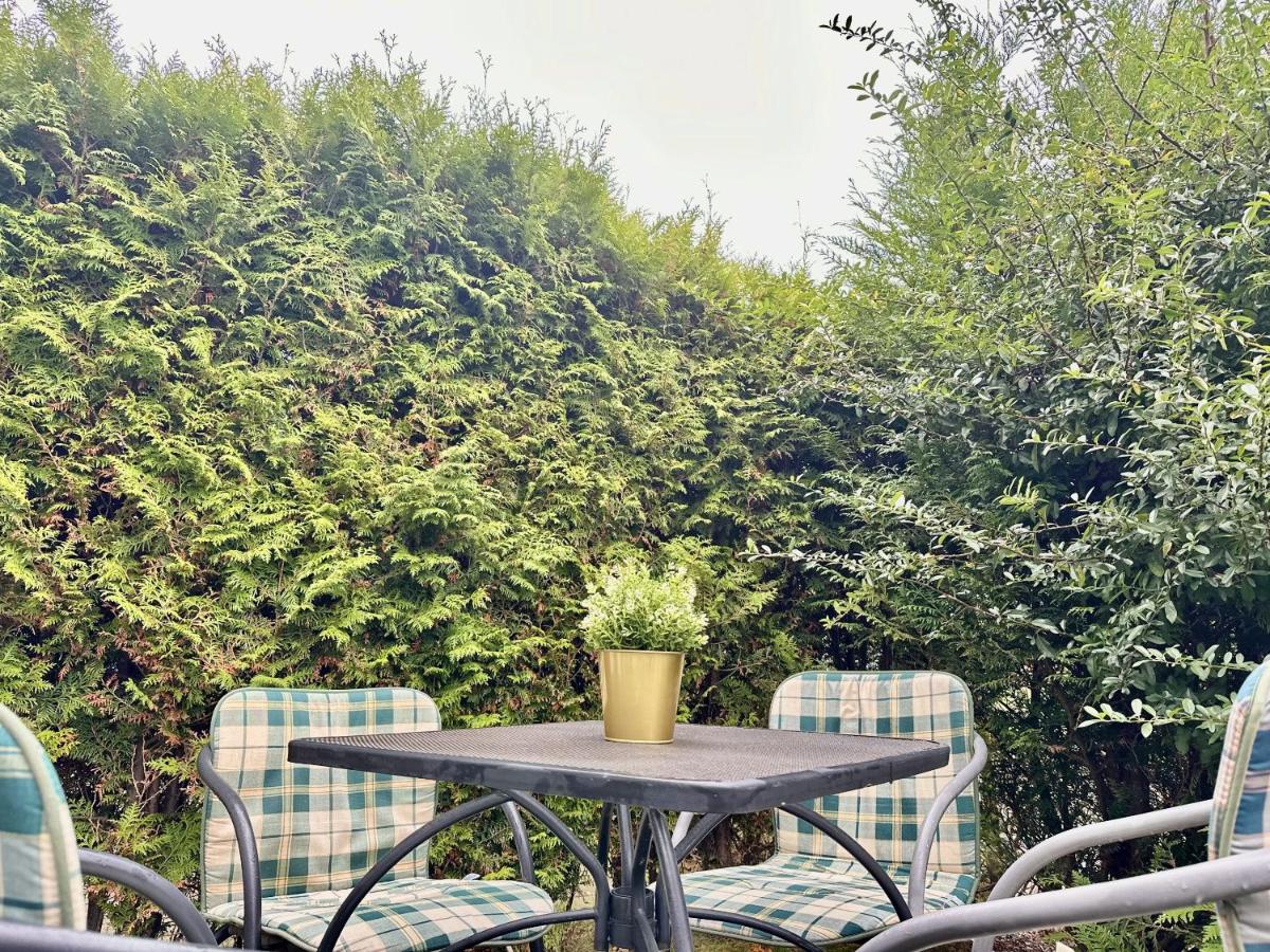 FeWo Stranddistel - Carolinensiel - Ferienwohnung Wittmund