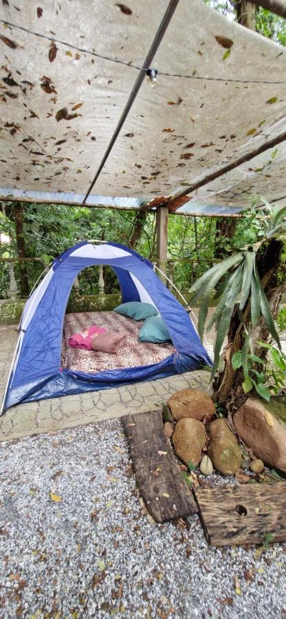 Glamping Macacu - Bed and Breakfast