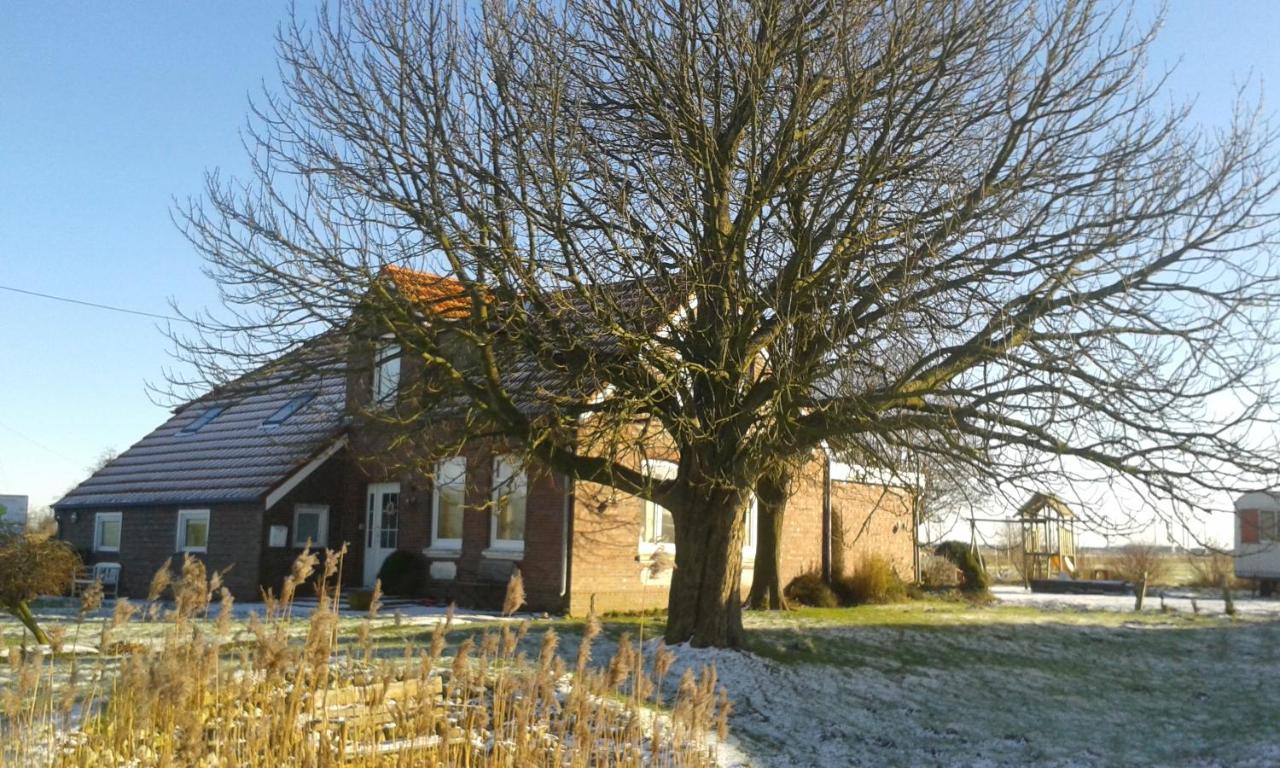 B&B Middelsbur - Marijanas Landhaus am Meer - Bed and Breakfast Middelsbur