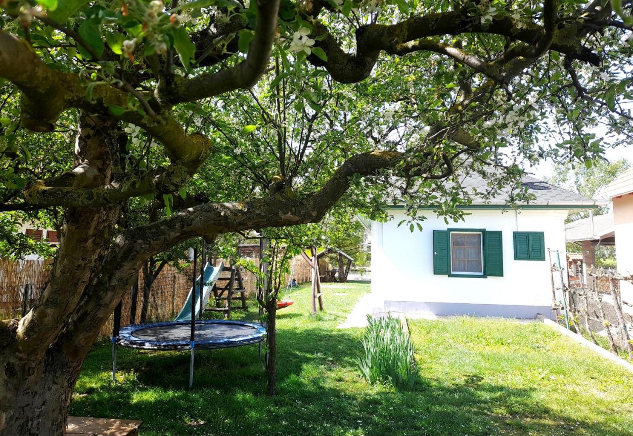 Zöld Orom Vendégház - Bed and Breakfast