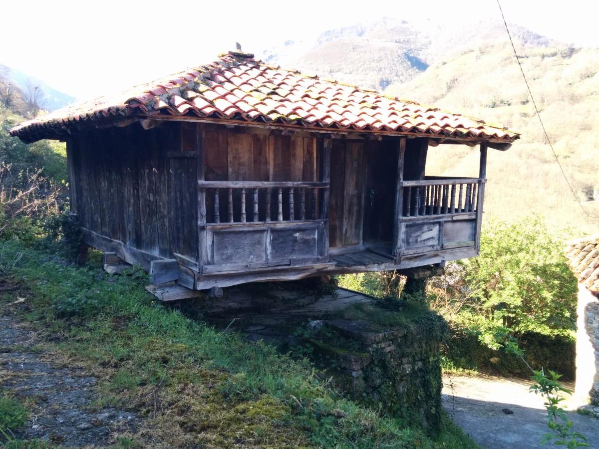 Casa La Parra - B&B Villar de Vildas