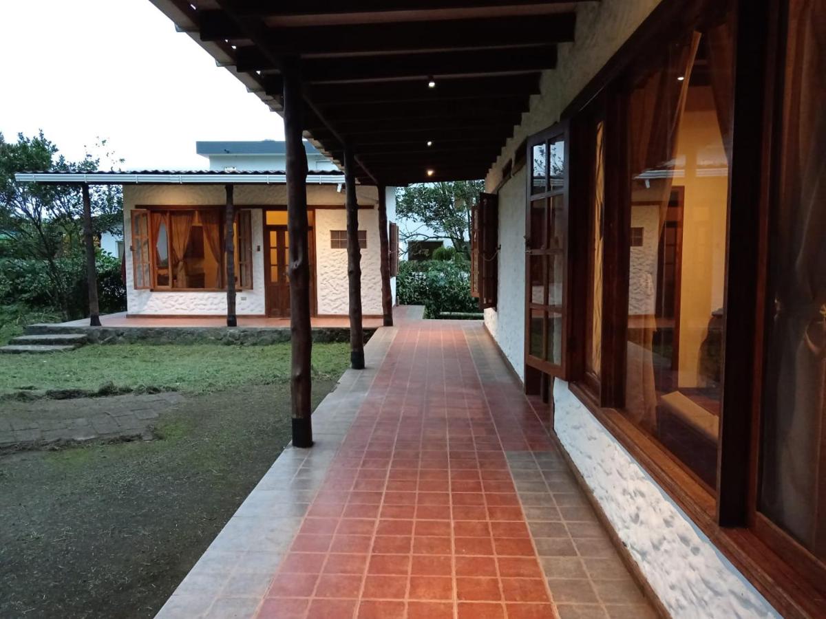 Rest & Galapagos Adventure - Bed and Breakfast Bellavista