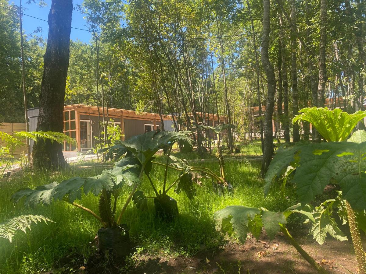 Boker Tov Pucón - B&B
