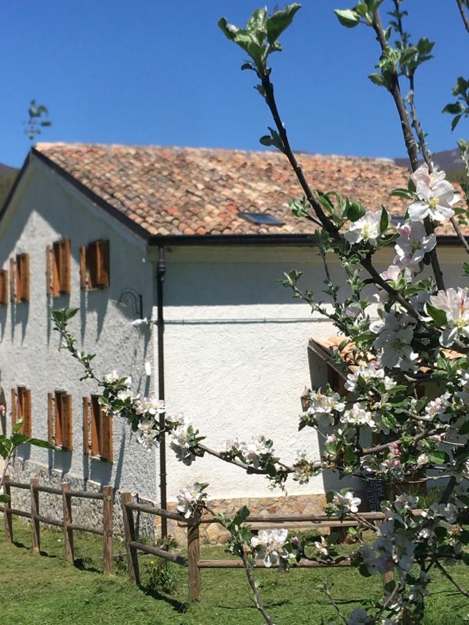 Il Cottage - B&B
