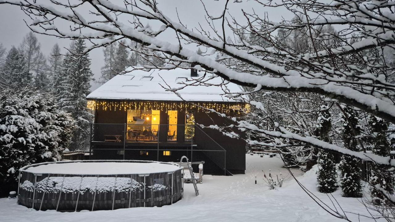 Willa Czaremka - sauna, basen, kino, bilard, bawialnia - B&B
