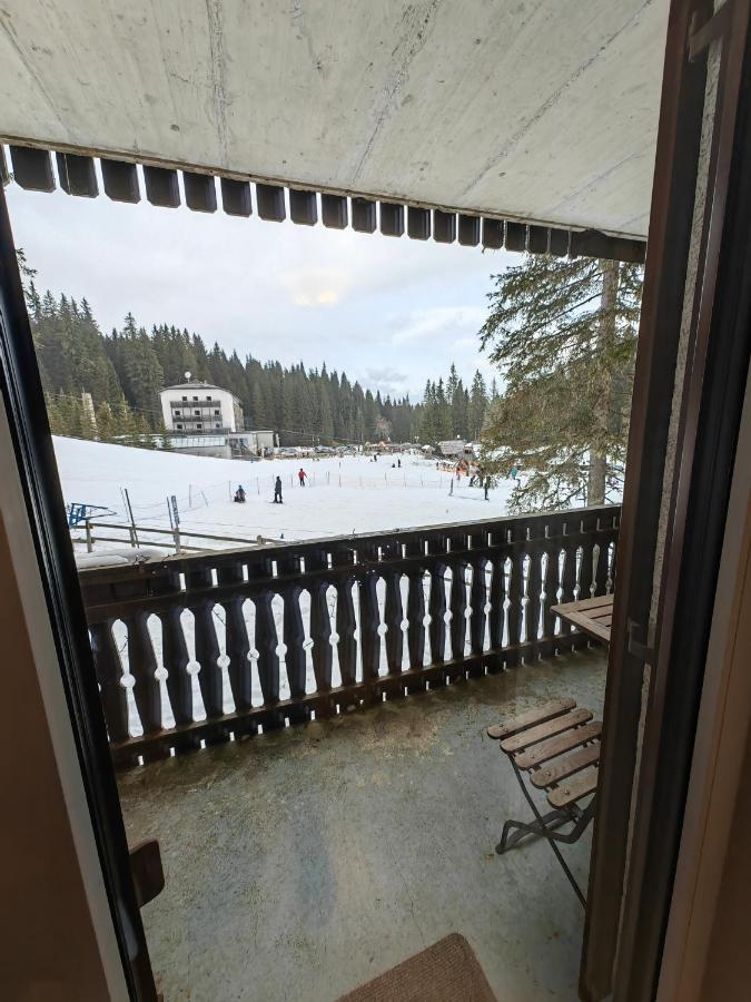 Apartment Ski Sara Pokljuka - B&B Bled