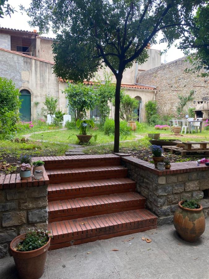 Appartement cosy avec oasis privée, salle de jeux, vélos bienvenus - B&B Carcasona