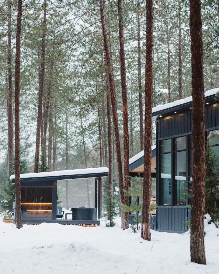 Brand New Black Fox Cabin with Private Nordic Spa - B&B