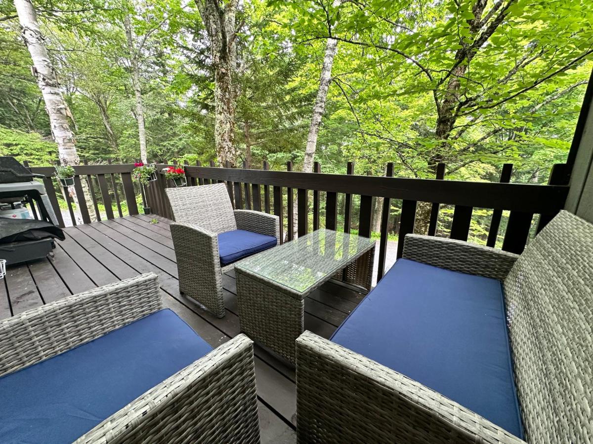 Vermont Getaway! Newly renovated! - Ferienwohnung Stratton Valley