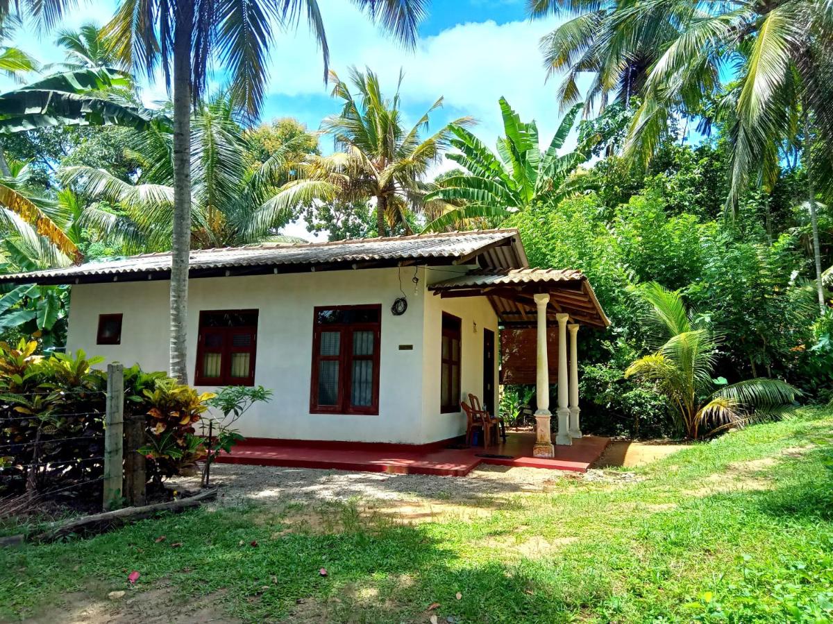 Lake Villa Goyambokka - Bed and Breakfast