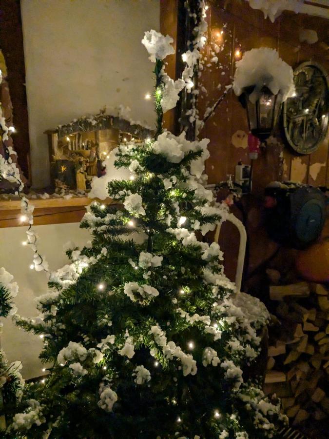 Altes Häusle am Waschbach - Historisches Häuschen mit Privat Spa & Sauna - B&B Edenkoben