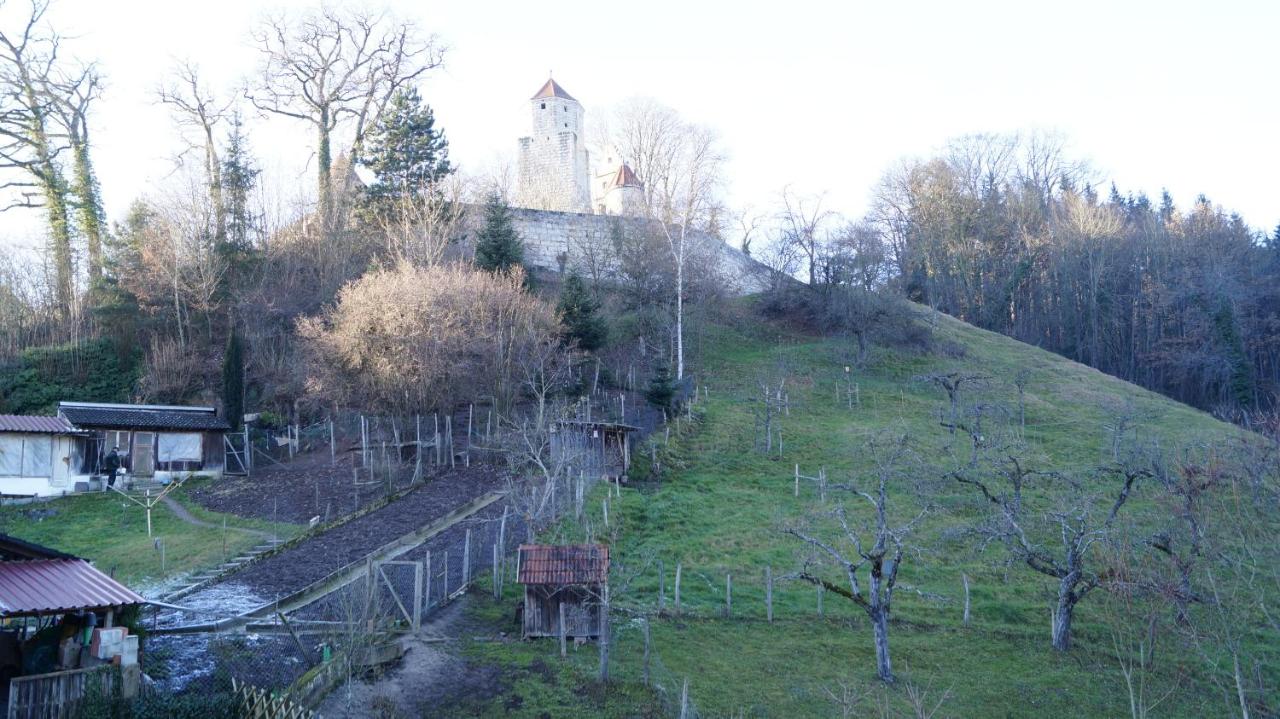 Landgasthof Falken - B&B