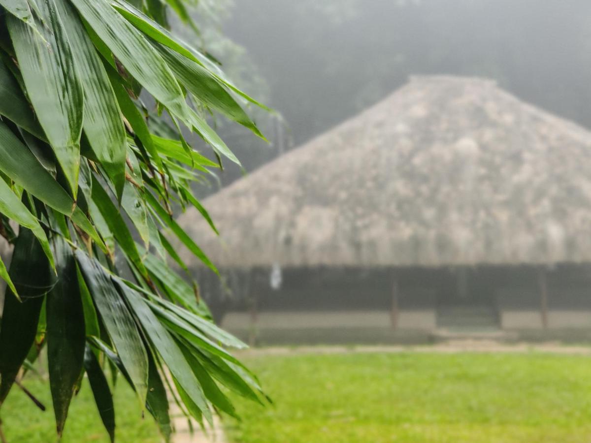Bamboo Grove - B&B