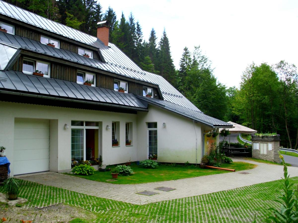 Penzion U Kocoura - B&B Desná