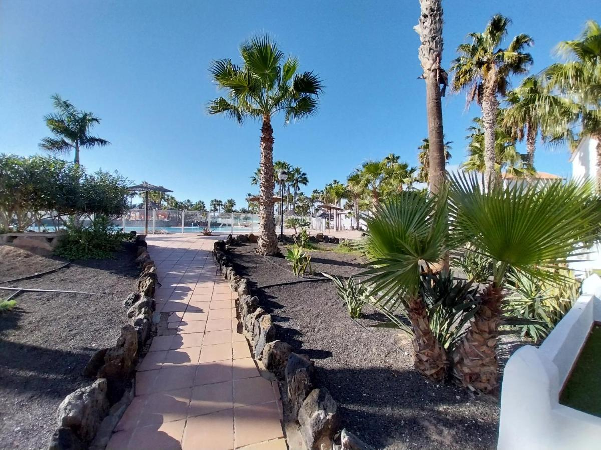 Brightblue Oasis by Sea You There Fuerteventura - Chambres d'hôtes Corralejo