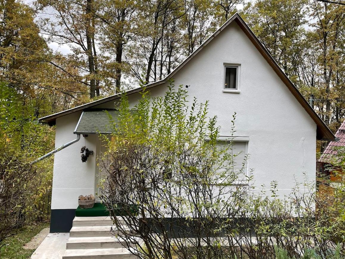 Stellar Mátra - B&B