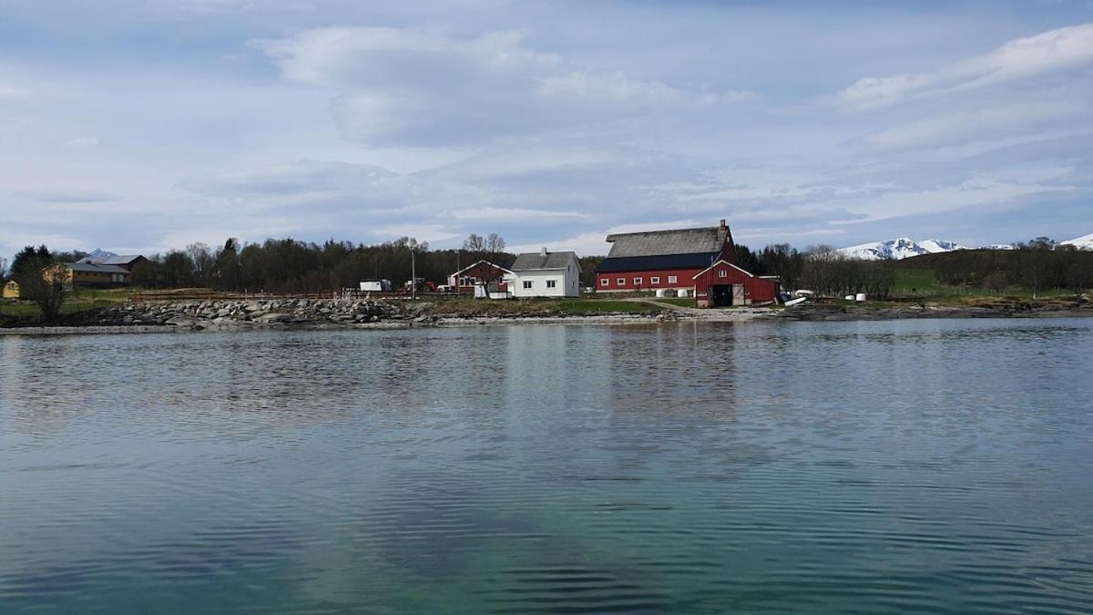 Marisletta farm - house by the sea - B&B Tromsø
