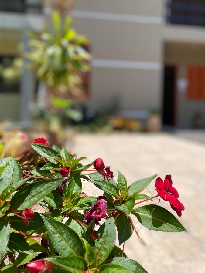 Sobrado Charmoso Beach House com piscina - B&B Xangri-lá