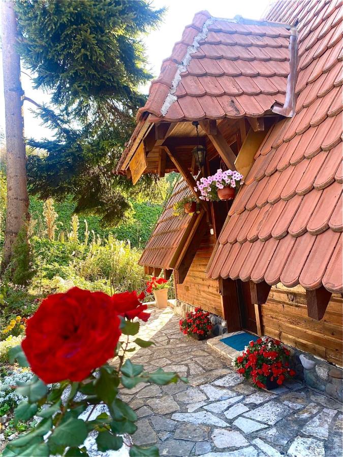 Apartman Zlatarske Čari - B&B Nova Varoš