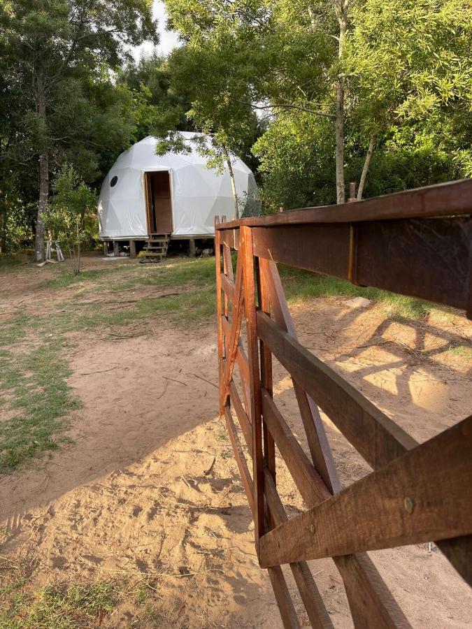 ALF Dome Peacefull between forest and sea - Ferienwohnung