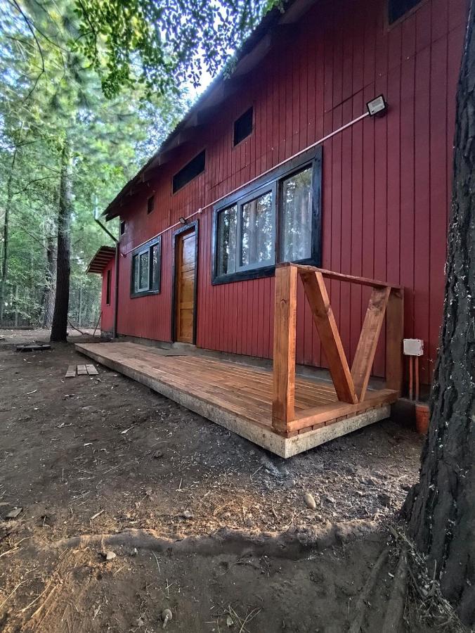 Cabana Calafate - Bed and Breakfast Callaqui