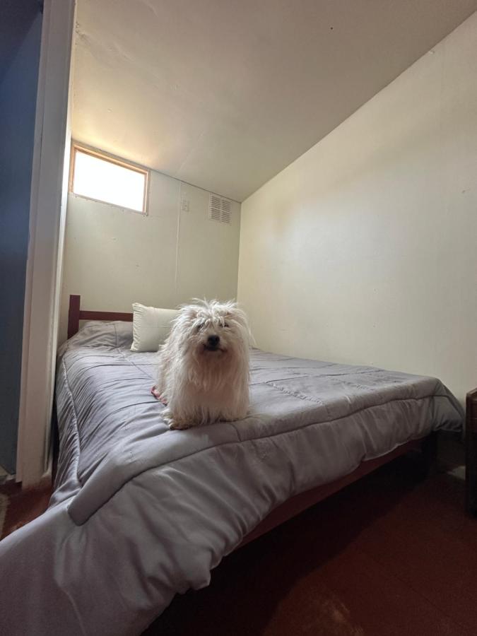Hostal Duchantu - B&B