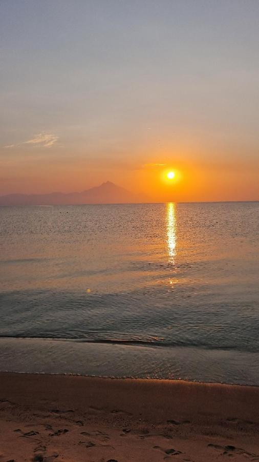 Konak Sarti - Ferienwohnung Sárti