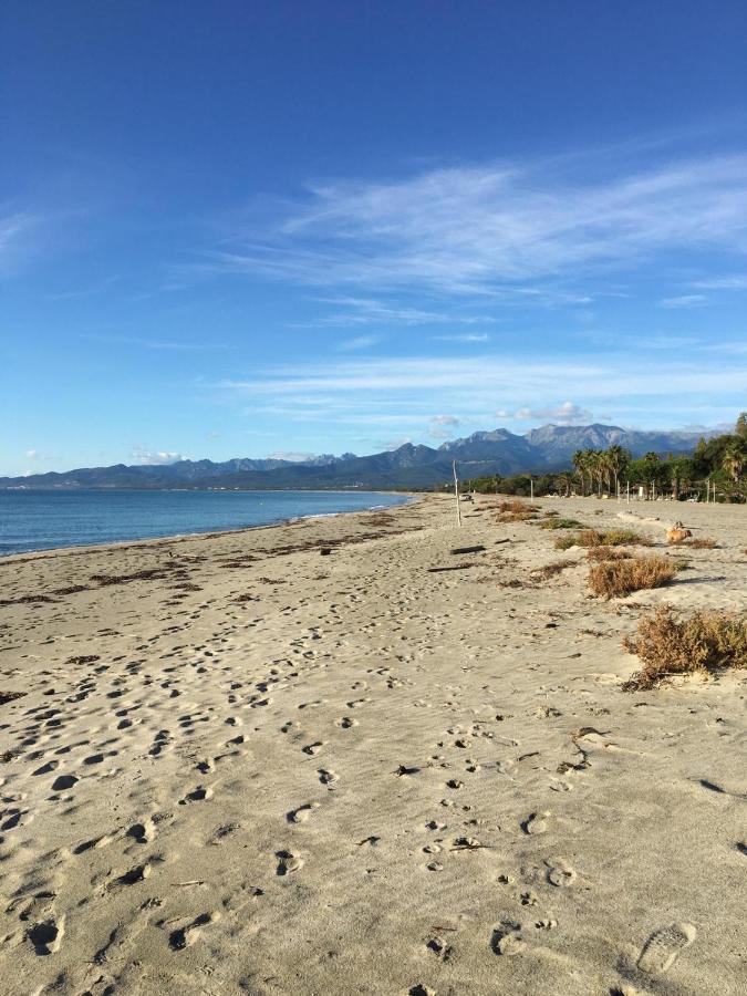 Appartement au bord de mer - B&B Ghisonaccia