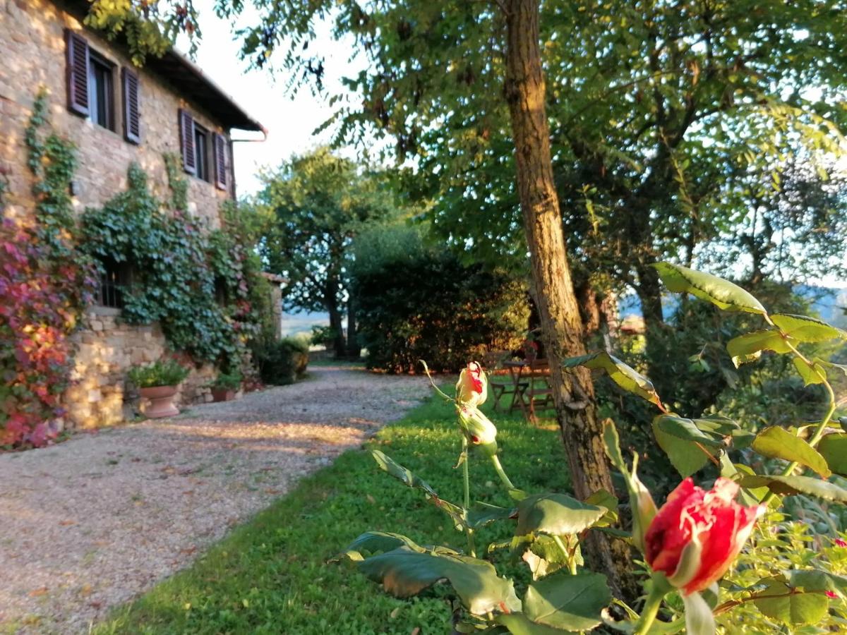 CASA GIOIA - B&B Greve In Chianti