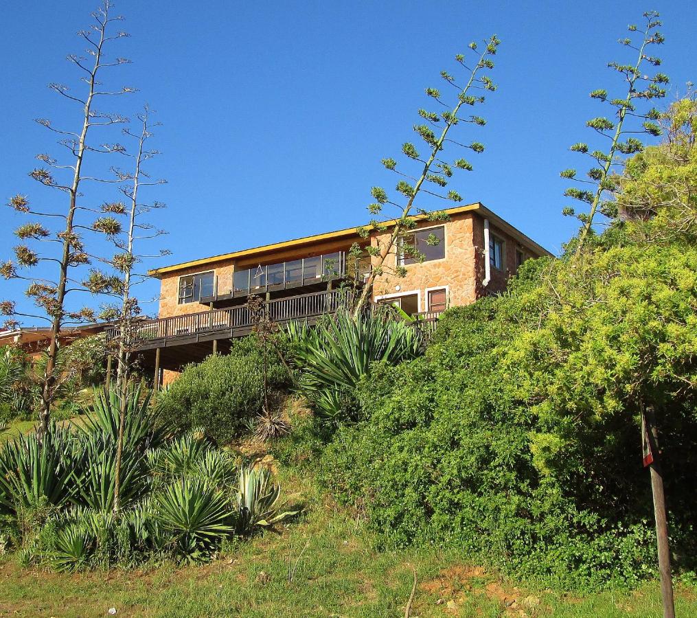 Starfish Surf House - B&B