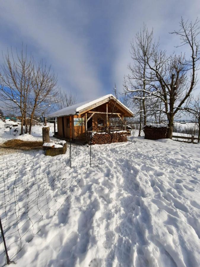 Am Kapferhof - B&B