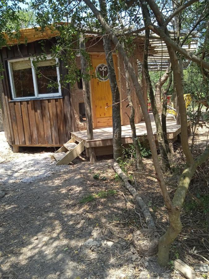 Peaceful cabin in the woods - B&B Ocean Park