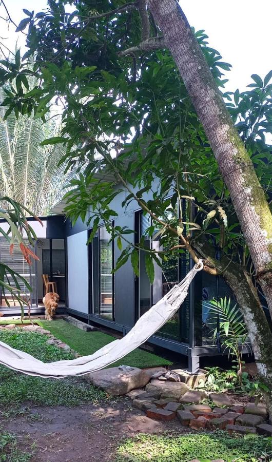 House Viotá - Bed and Breakfast