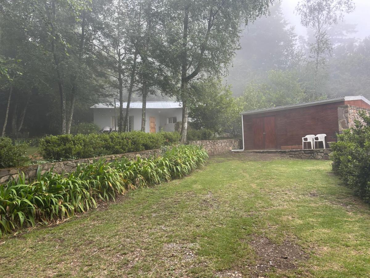 Hogsview - B&B