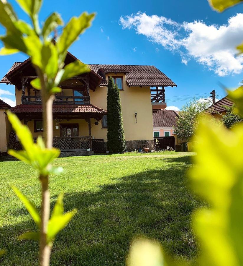 Villa Rusu - B&B