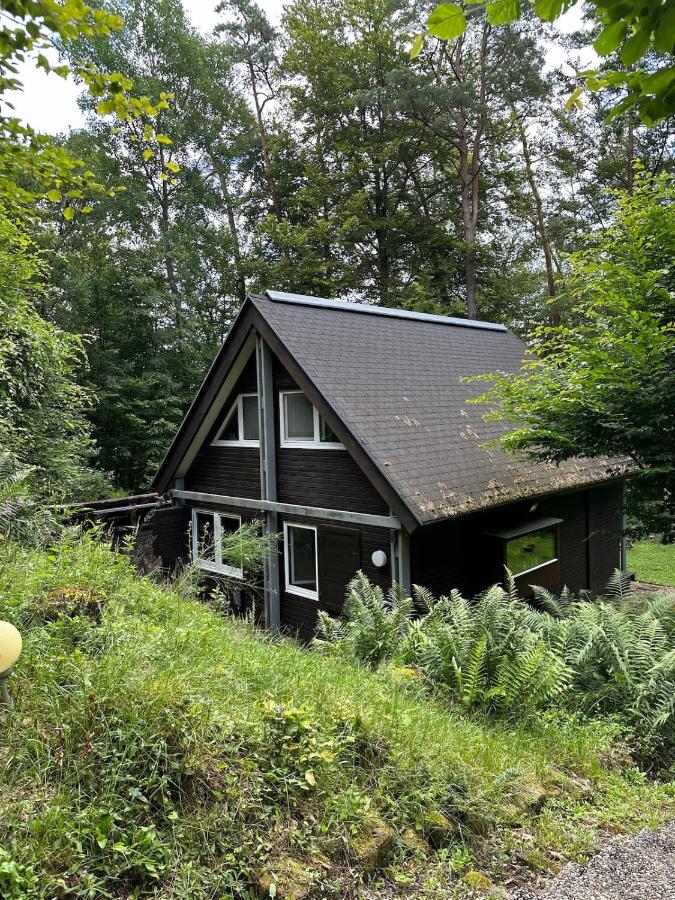 Waldparadies mit allem was Sie brauchen - Ferienwohnung