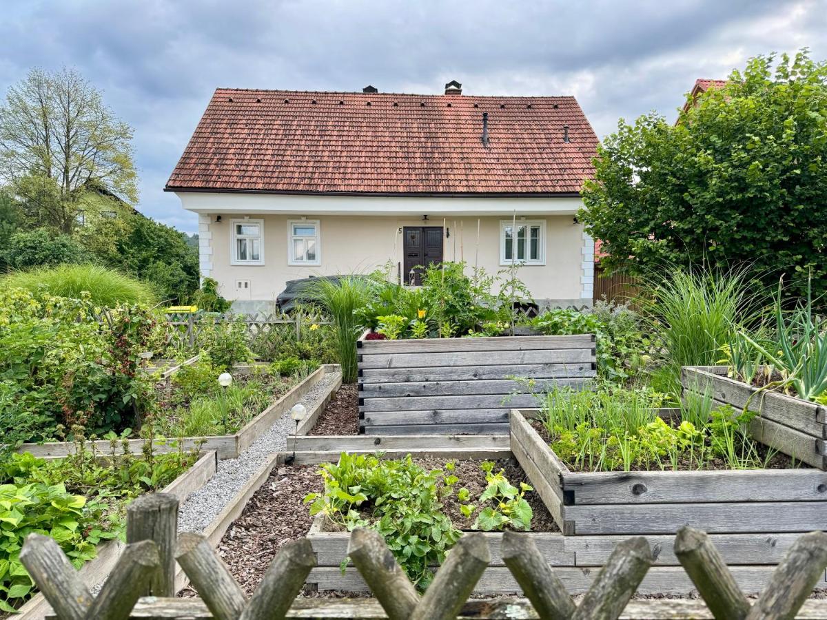 Homestead at Stefka's - Chambres d’hôtes